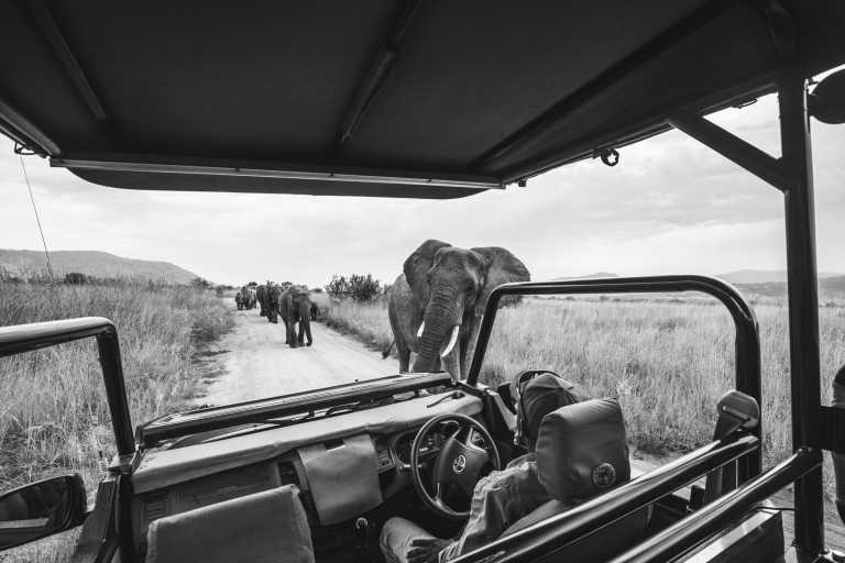 Tansania - Tanzania Safari to Tarangire, Serengeti and Ngorongoro Crater combine with a Day Trip Hike to Mount Kilimanjaro - JoinMyTrip