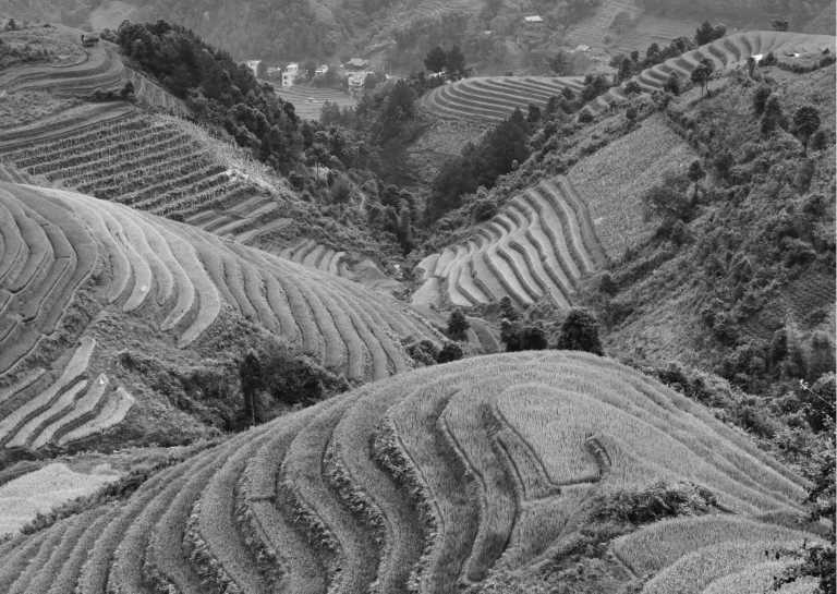 Vietnam - Relaxing and Coworking trip to the beautiful Sapa, Vietnam - JoinMyTrip