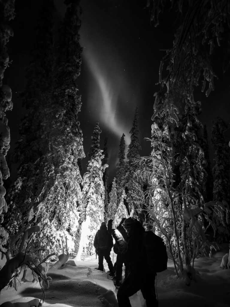Sweden - Lannavaara - Wild North Expedition Above The Arctic Circle - Snowmobiling, Northern Lights & Dog Sledding - 1