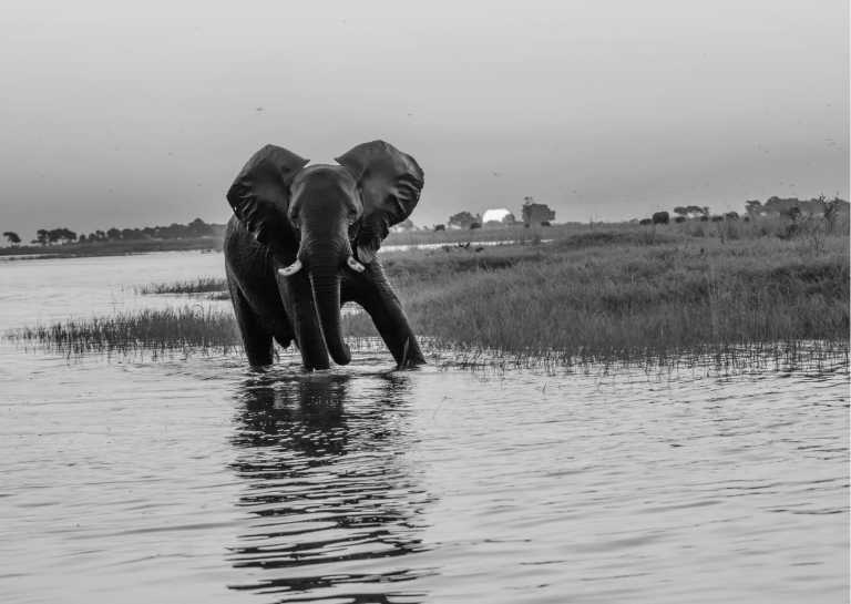 Subsahara-Afrika - Discover Okavango Delta and Beyond: Unforgettable Botswana Adventure in Sub-Saharan Africa - JoinMyTrip