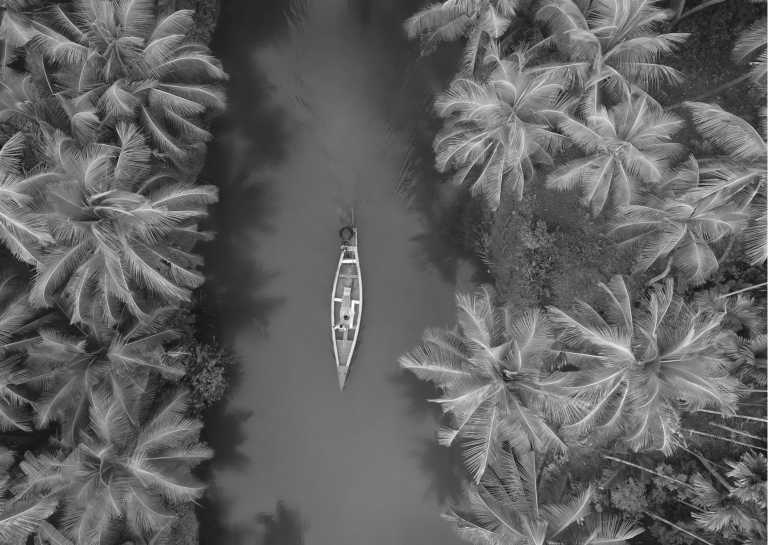 India - Through The God's Own Country: Kerala, India - JoinMyTrip