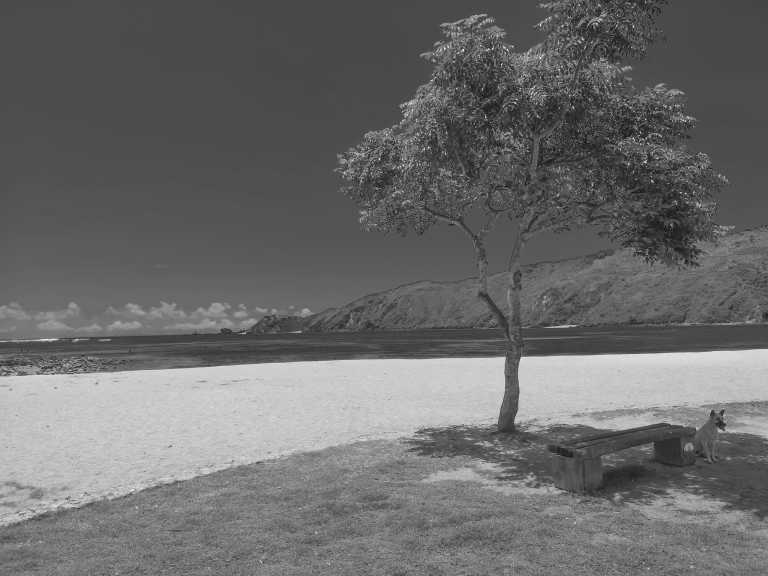 Indonesien - Kuta Beach - Backpacking Through Lombok Island in Indonesia - 2