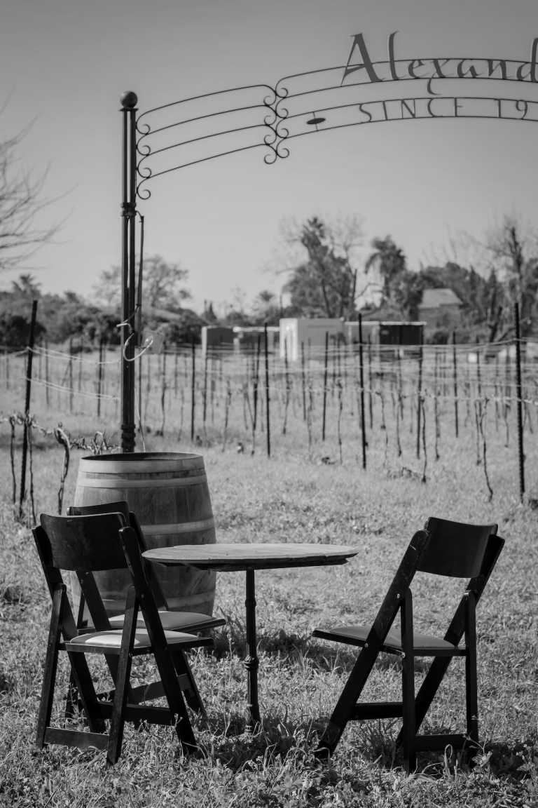 Mexico - Baja California - Work Remotely from the Baja California, Mexico Wine Route - 1