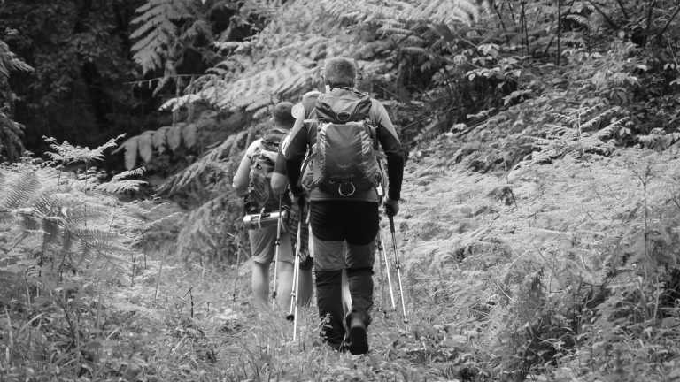 Tansania - Climb Mount Meru, Tanzania with a local - JoinMyTrip