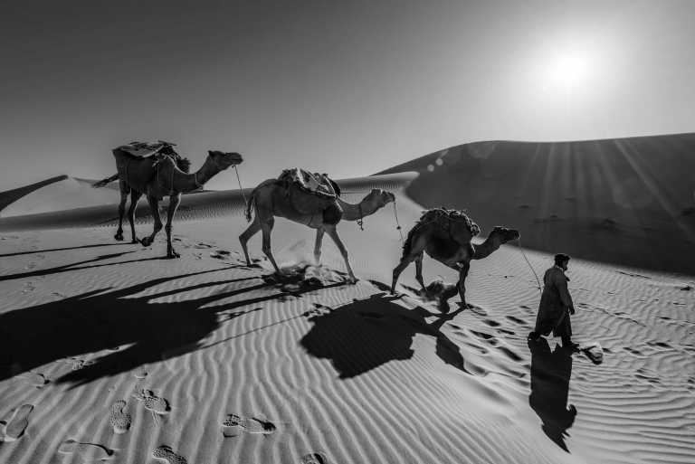 Algerien - Discover The Great Sahara! - JoinMyTrip