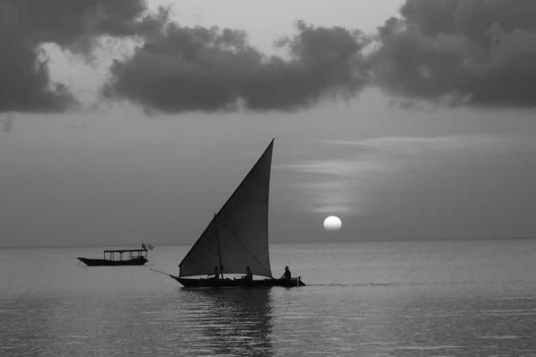 Eastern Africa - Dar es Salaam - Road Trip and Holiday Escapade In Mombasa, Daresalaam, Zanzibar, Tanzania (Diani Beach, Haller Park, Nungwi, kendwa and Stone Town)