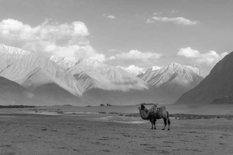 Indien - Mystical Ladakh - A Yoga and Meditation Retreat Exploring India's Himalayas - JoinMyTrip