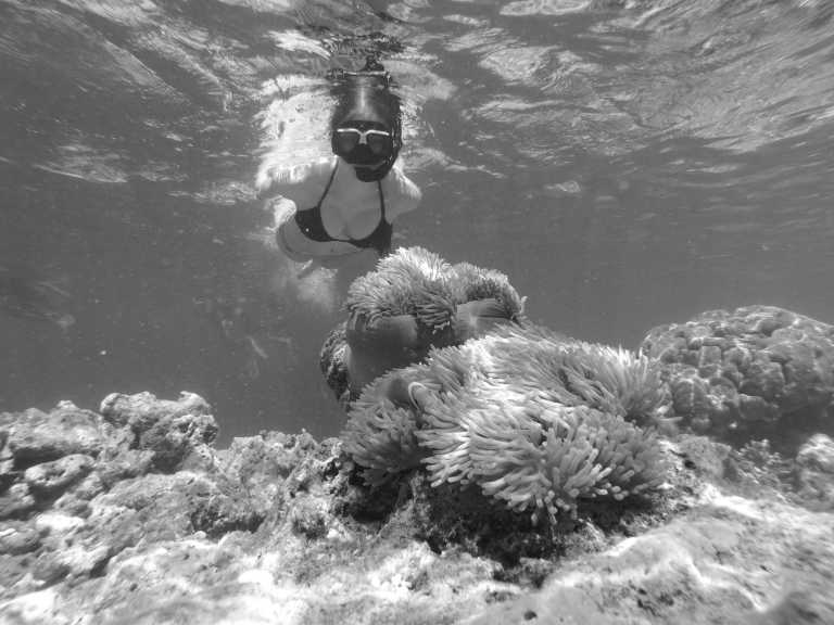 Seychelles - La Digue - Island hopping on the Seychelles 🏝️ Visit Turtle Island 🐢 hike UNESCO National Parks 🚵 chill on the world`s most beautiful beach and visit a local rum distillery in a tropical paradise (January 2024) - 1