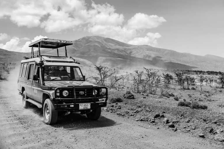 Tanzania - Moshi - 5 Day Tanzania Safari to Tarangire, Lake Manyara, Ngorongoro Crater and a Day Trip Hike to Mount Kilimanjaro