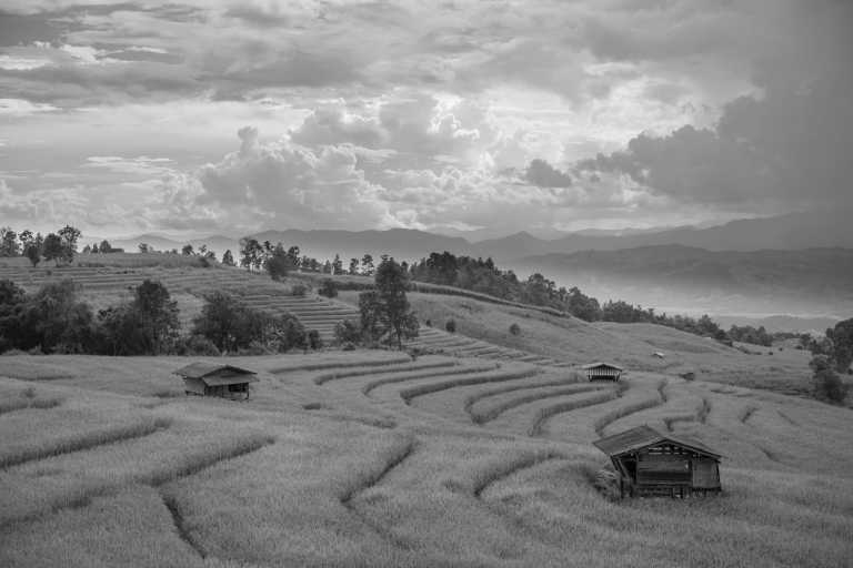 Thailand - Mon Jam - Immerse Yourself in Authentic Chiang Mai, Thailand: Explore Like a Local with Locals!