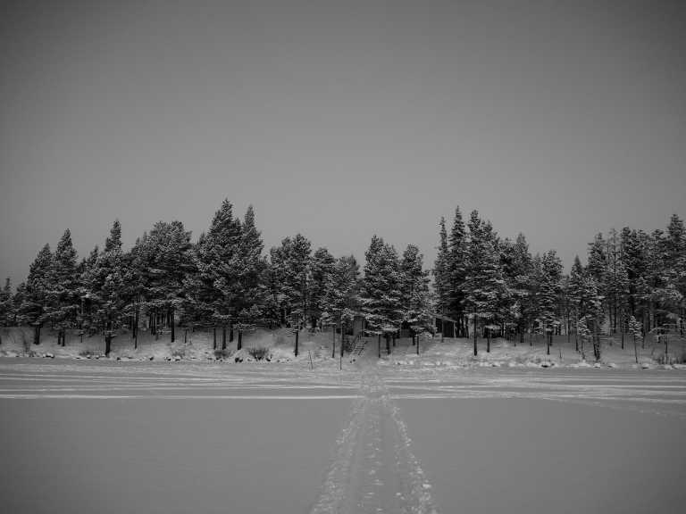 Sweden - Kiruna - Wild North Expedition Above The Arctic Circle - Snowmobiling, Northern Lights & Dog Sledding
