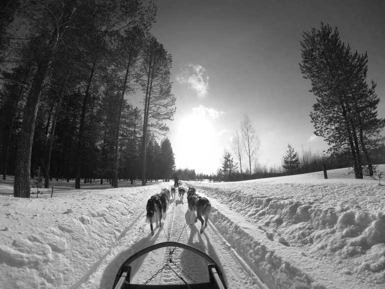 Finland - Rovaniemi - Chasing Northern Lights 🌌 through Finnish Lapland 🎄🧑‍🎄❄️🫎 - 3