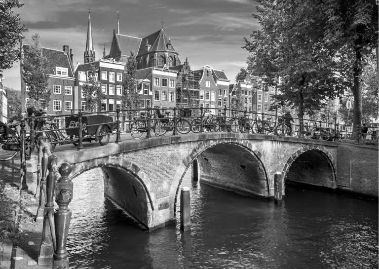 Netherlands - Amsterdam Exploration and Dutch Nature Discovery: Local Guide and 2 Huskies - JoinMyTrip