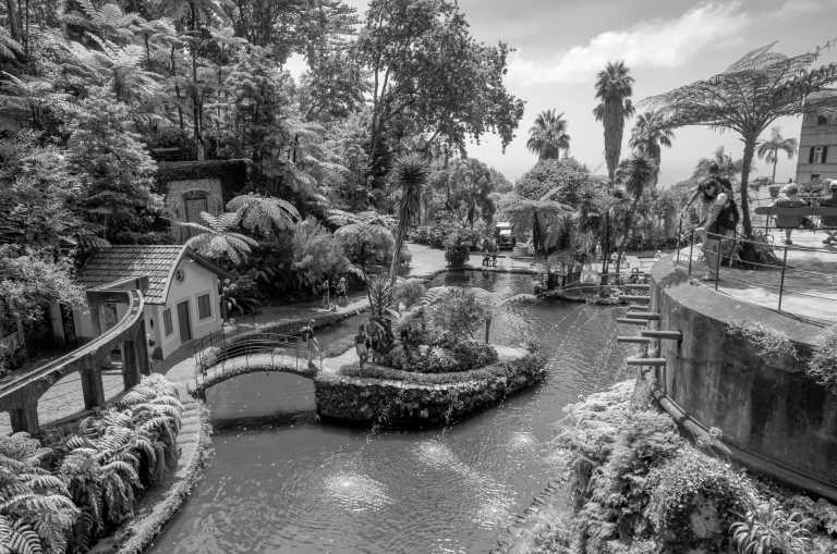 Portugal - Madeira Botanical Garden - Surf & Hike in beautiful island of Madeira, Portugal - 1