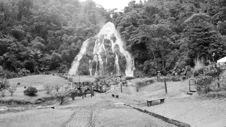 Colombia - Colombia's-Exciting Mix Cali's Dance Culture and Explore the Salento Coffee Valley! - JoinMyTrip