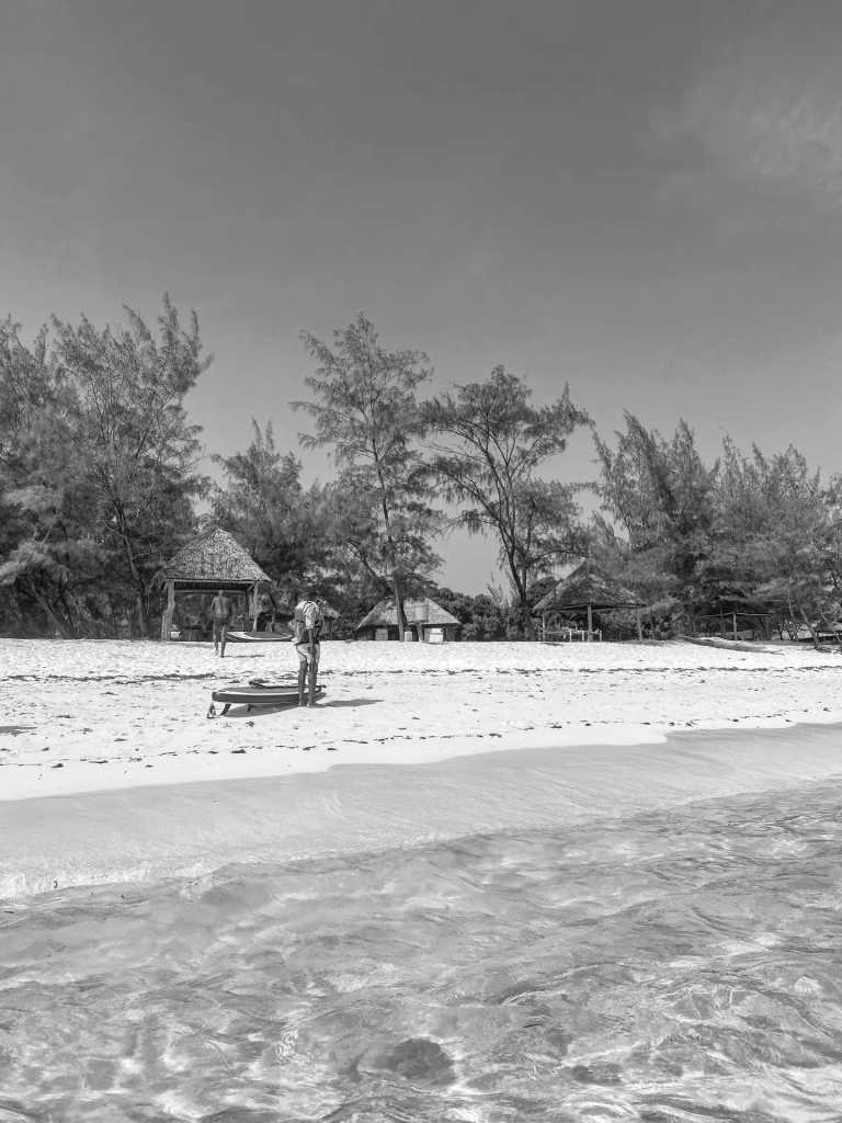 Tanzania - Mbudya Island - One week Tanzania: culture, nature and beach adventure - Dar es Salaam, Bagamoyo, Mbudya island and Bongoyo island - 1