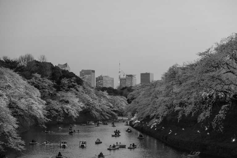 Japan - Tokyo - 🇯🇵 Tokyo, Nagoya, Kyoto: Hitachi Seaside Park, Tokyo Hidden Gems, Enchanted Mt Fuji, River Rafting and More! - 4