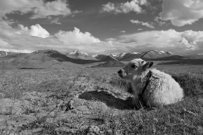 Tajikistan - Fascinating unique tour to Tajikistan - With a Local! - JoinMyTrip