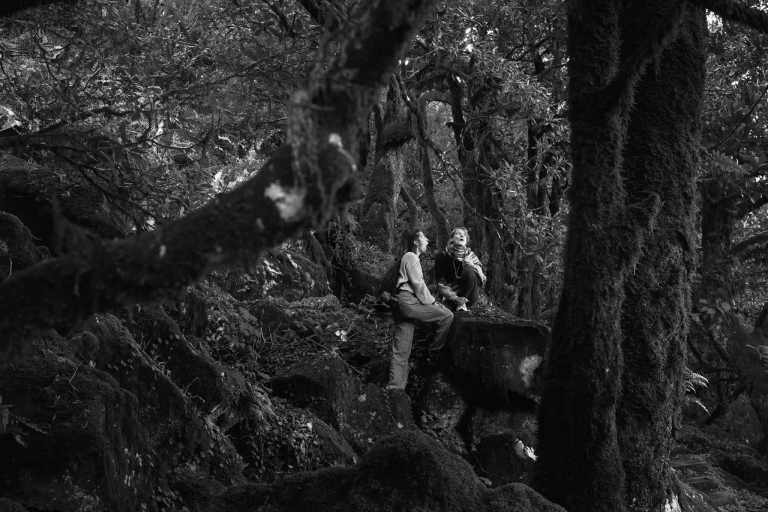 Portugal - Fanal Forestry Station - Coliving and Adventurous Hiking Trip with a Knowledgeable expat on the dream island of Madeira (Single rooms) - 1