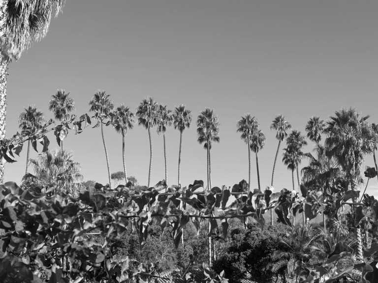 United States - Santa Barbara - ☀️Trails,Tides & Yoga in Sunny SoCal☀️ - 1