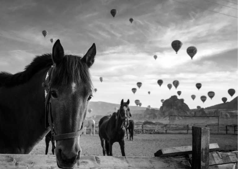 Türkei - Explore Cappadocia: Unveiling the Enchanting Landscapes, Hot Air Balloon Sojourns, and Historic Marvels - JoinMyTrip