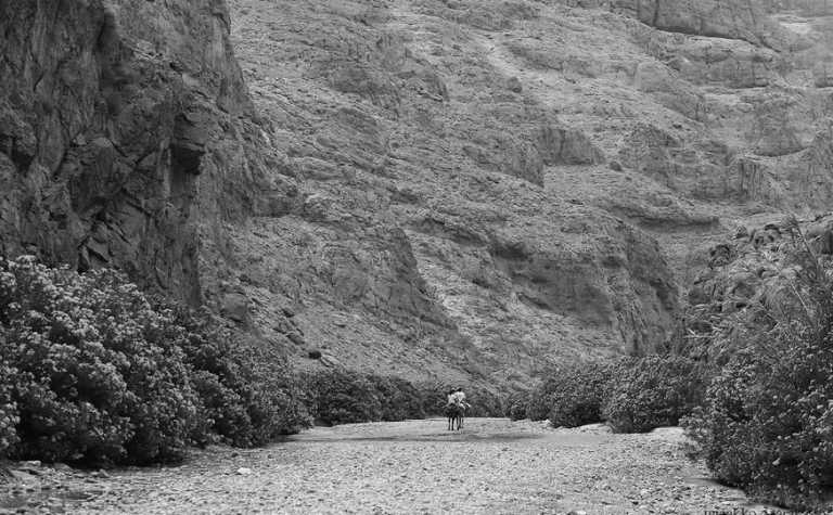 Morocco - Trekking in the rose valley, Morocco 🏕🥾(4 nights) 🌹🏜 - JoinMyTrip