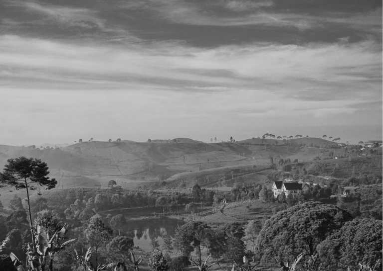 Indonesia - Bandung Bliss: 4 Days of Culture, Cuisine, and Natural Wonders in Indonesia - JoinMyTrip