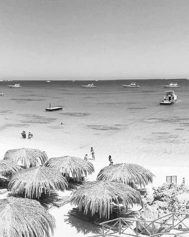 Ägypten - Mahmya Beach - Red Sea in Egypt with a Local (ElGouna) 🏖 ☀