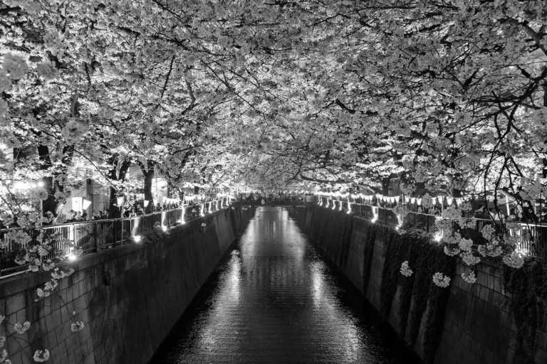 Japan - Narita - Traveling In Japan 🇯🇵 Like Locals In: Tokyo, Osaka, Kyoto & Nara For 2 Weeks - 3