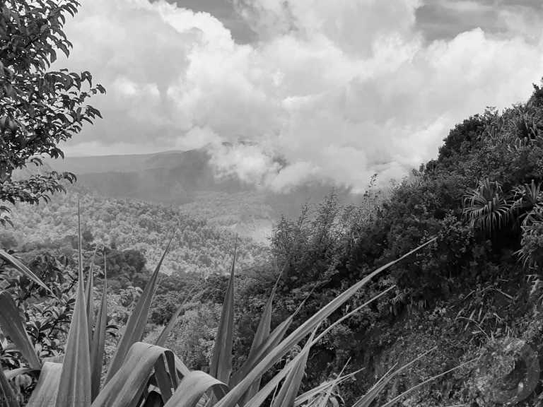 Indonesien - Berastagi - 🇮🇩 Indonesien Wildes Sumatra - 15d echte Backpacking Abenteuerreise off the beaten track - incl. Orang Utan Beobachtung 🏞️🐒🌿🏝️ - 1