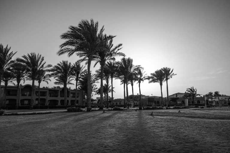 Egypt - Hurghada - Hurghada to Luxor: Exploring Egypt's Riches Along the Red Sea - 2