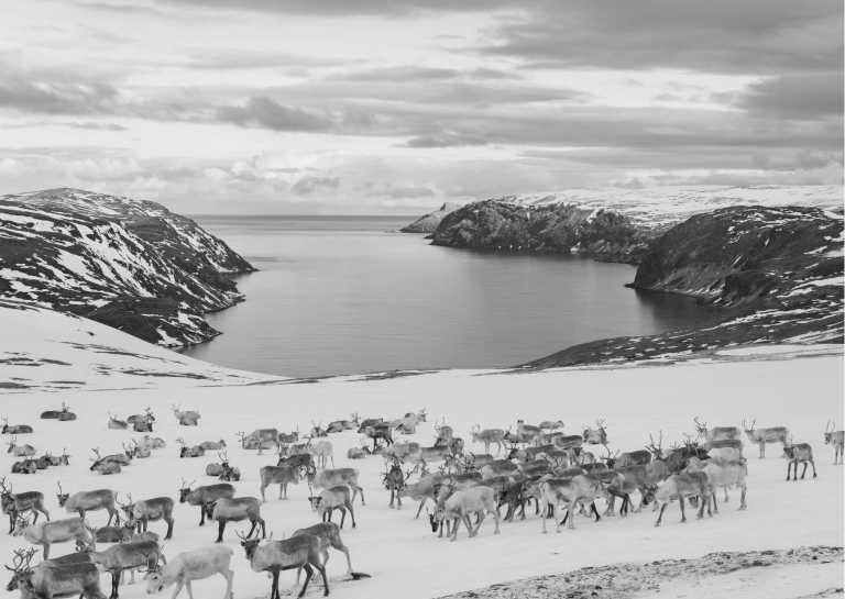 Norwegen - Nordkapp Municipality - Norway Northern Lights: Dancing Auroras & Ancient Culture - 1