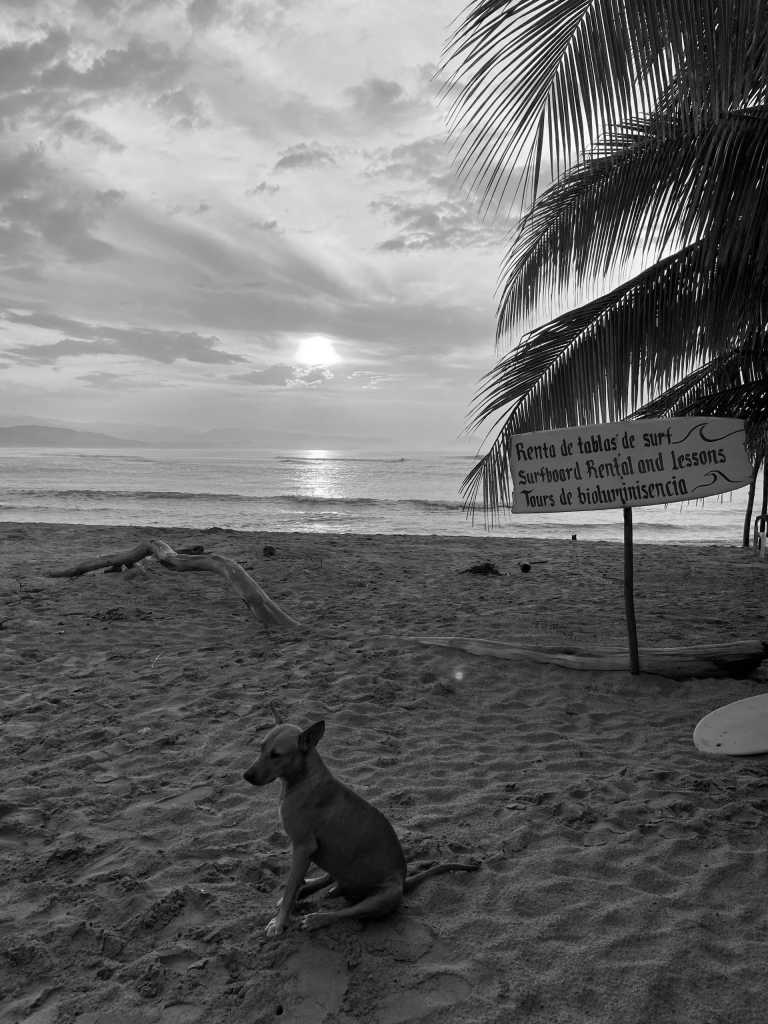 Mexiko - Discover Mexico with a local... Chapter: Tepoztlan,Sayulita, Tequila-train and more Mexican Marvels Expedition! - JoinMyTrip