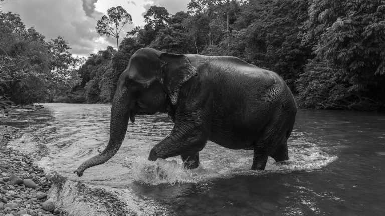 Indonesia - Sumatra Serenity: Exploring Nature's Treasures in North Sumatra, Indonesia - JoinMyTrip