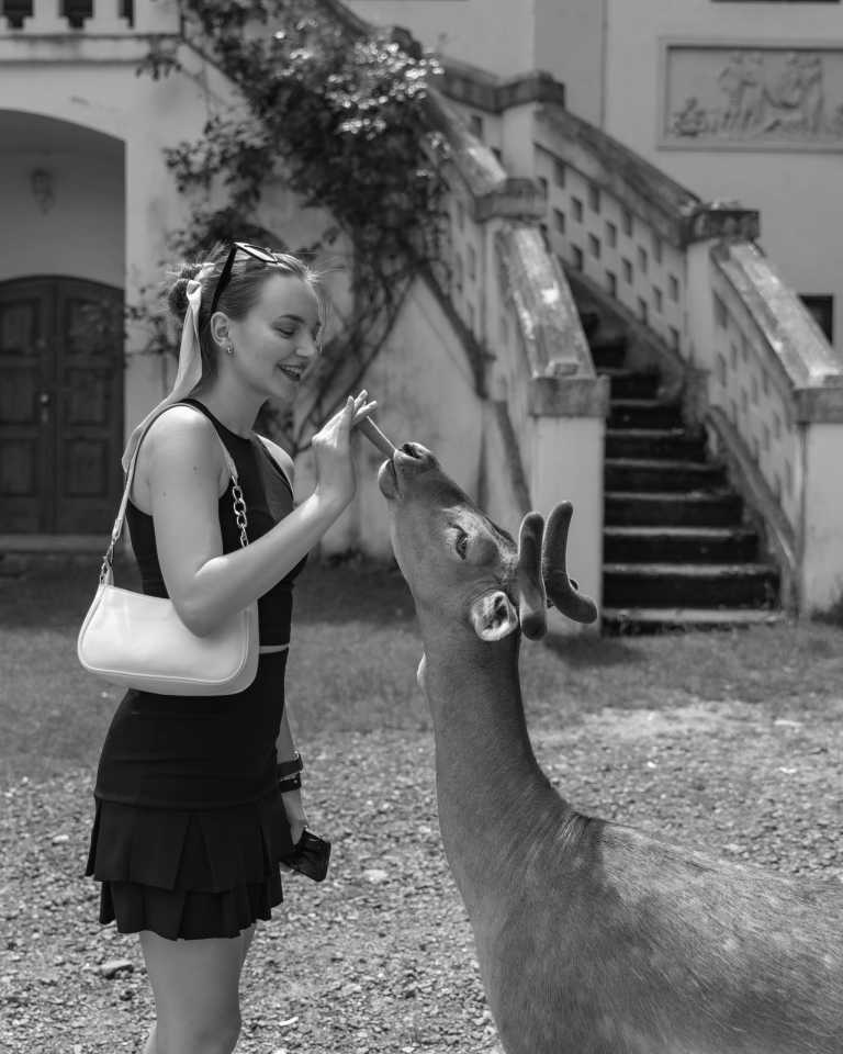 Czechia - Castle Blatná - Feed the Deers and See the Most Magical Spots in Czech Republic - 1