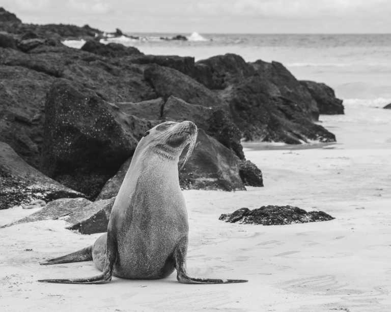 Ecuador - 5 Days Galapagos Adventure - JoinMyTrip