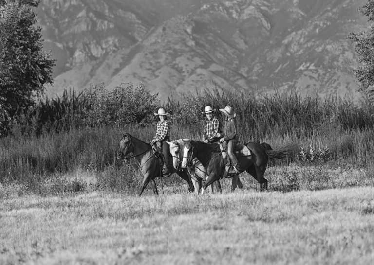 Namibia - Discovery Horseback Ride in Namibia: Ride from Inland to the Atlantic Coast - JoinMyTrip