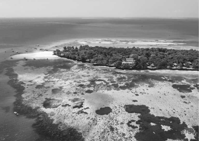 Tanzania - Ultimate Serengeti to Zanzibar Trip: Explore the Best of Tanzania - JoinMyTrip