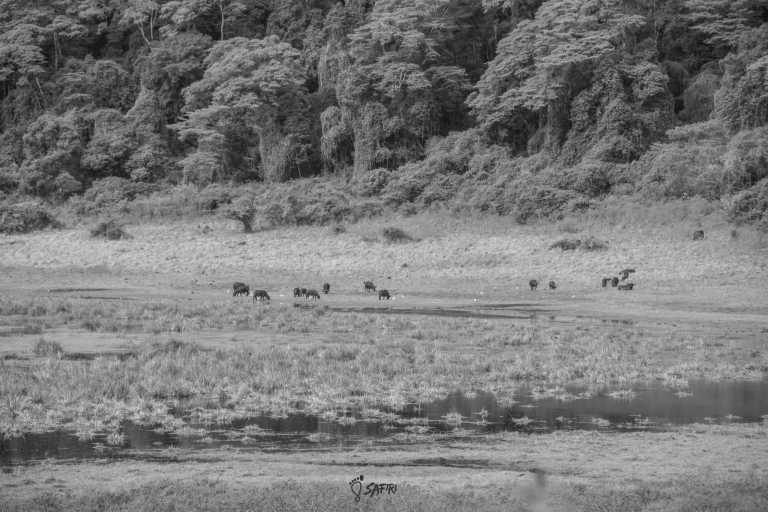 Kenya - Marsabit - CHALBI DESERT ADVENTURE - 4