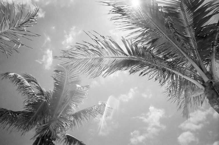 Bahamas - Segeln & Tauchen - Entdecker-Törn in die südlichen Bahamas - JoinMyTrip