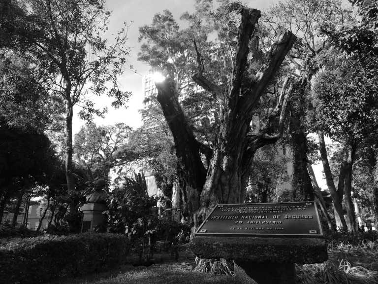 Costa Rica - Costa Rica: Cloud forest, North Pacific, Walk Among Treetops and Enjoy a the Most Beautiful Sunsets (Private Rooms) - JoinMyTrip