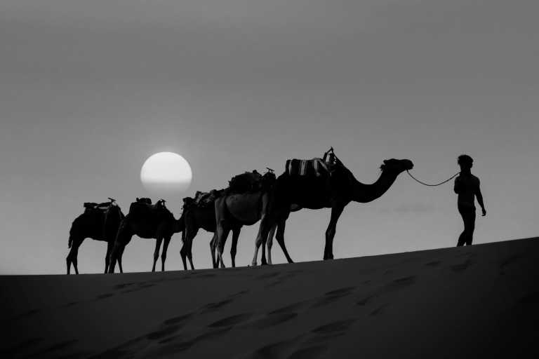 Marokko - Discover the Sahara: An Enchanting Trip from Marrakech - JoinMyTrip