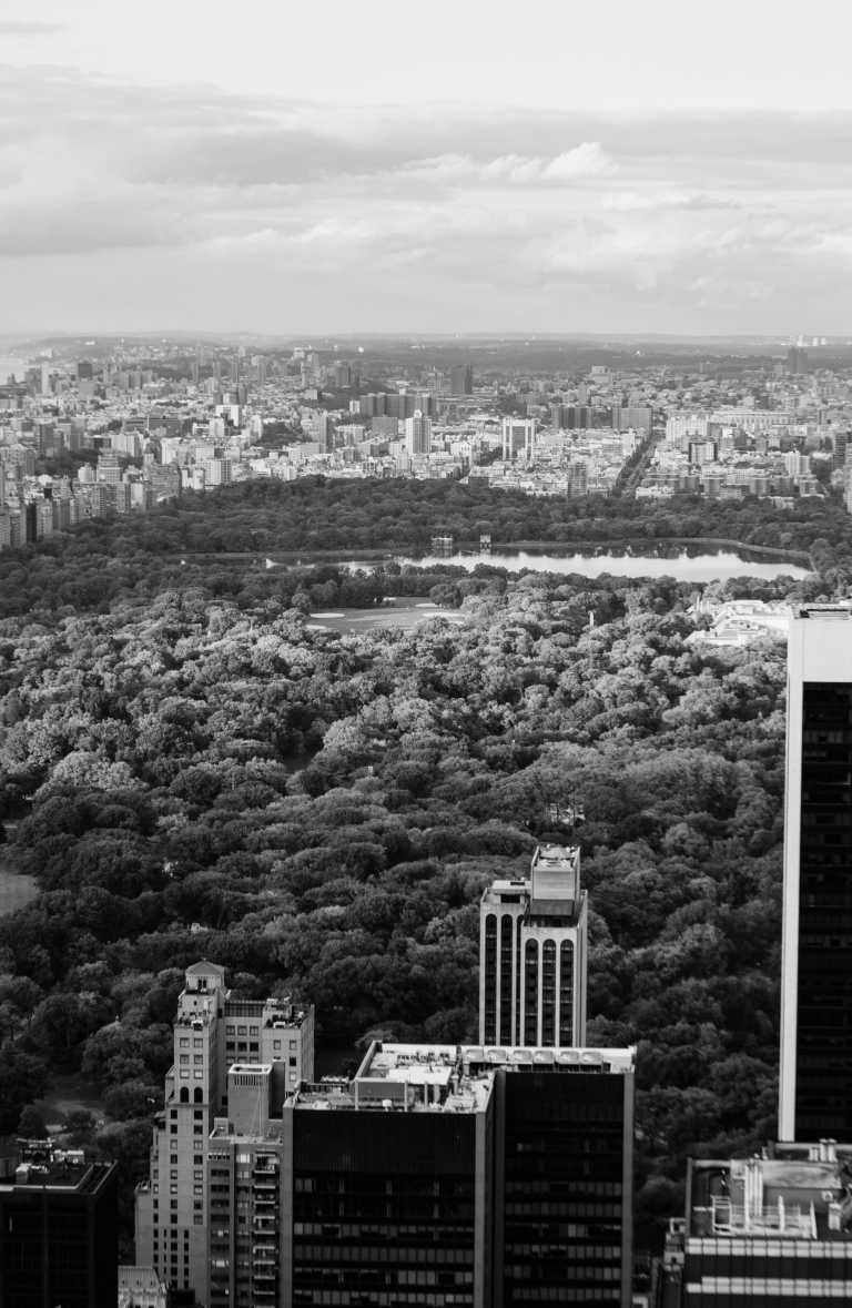 United States - Manhattan - Erlebe die faszinierende Welt New Yorks in 5 aufregenden Tagen! 🇺🇸🗽 - 2