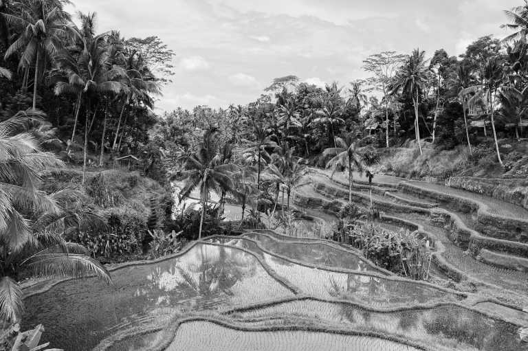 Indonesia - Ubud Palace - Bali like you've never seen!