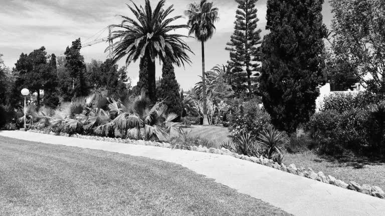 Spain - Ibiza - Urlaub auf Ibiza - in einem süßen Bungalow (EINZELZIMMER) direkt am Meer! - 2