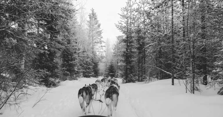 Northern Europe - Rovaniemi - Northern Lights and Lapland Arctic Adventure! ❄️ Finland and Norway Social Trip ❄️ 2025 - 1