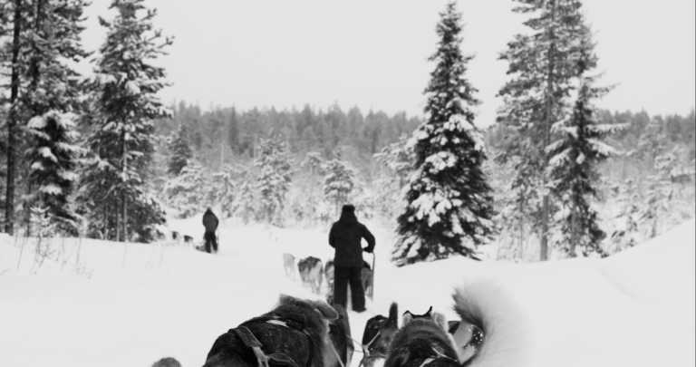 Northern Europe - Rovaniemi - Northern Lights and Lapland Arctic Adventure! ❄️ Finland and Norway Social Trip ❄️ 2025 - 2