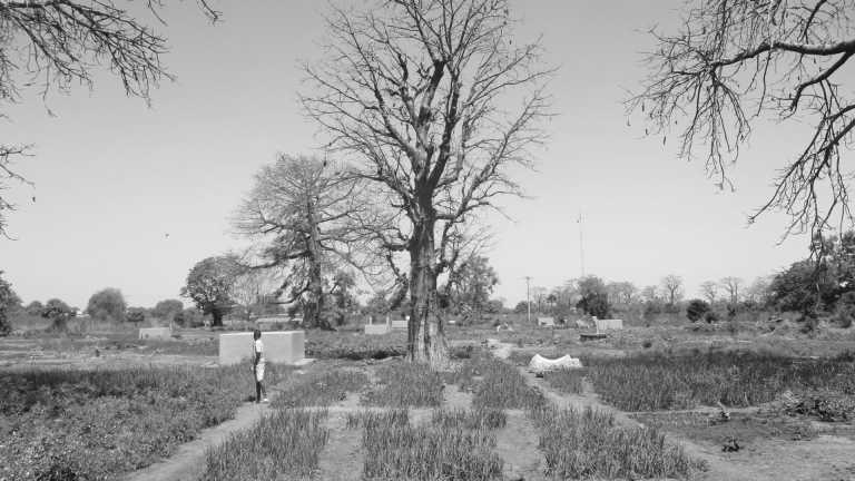 Western Africa - Abenteuerreise nach Afrika - Gambia 😊 - JoinMyTrip