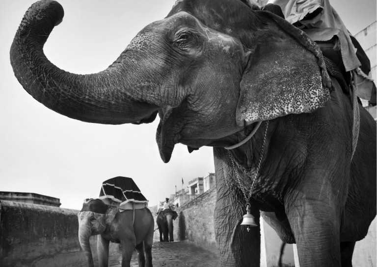 India - Experience THE UNSEEN : An Epic Wanderlust Adventure through India! - JoinMyTrip