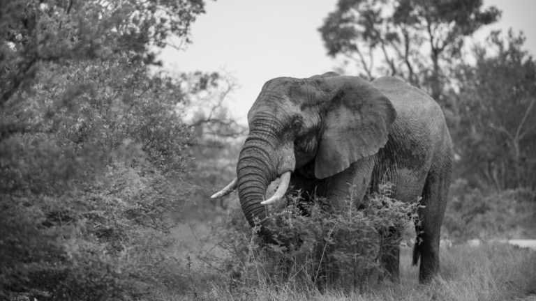 Southern Africa - Mietwagen-Rundreise Südafrika - JoinMyTrip